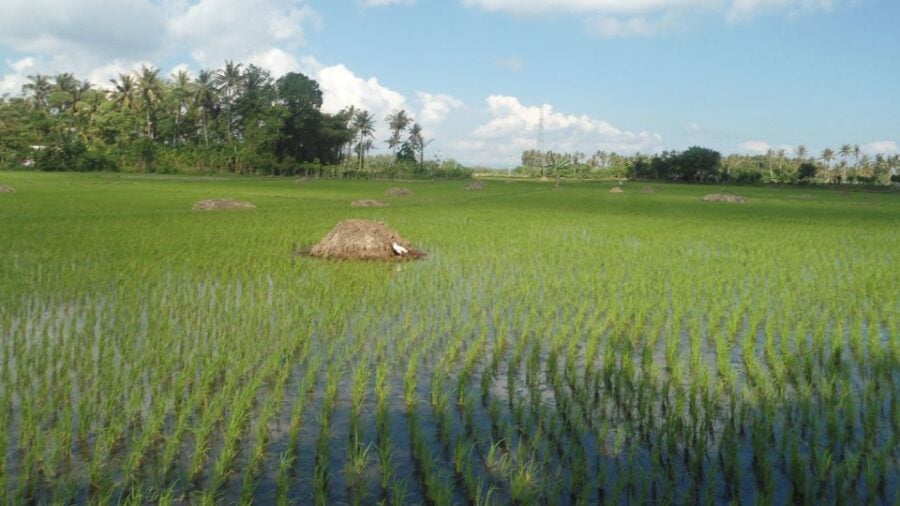 4 Best Bike Tours In Lombok