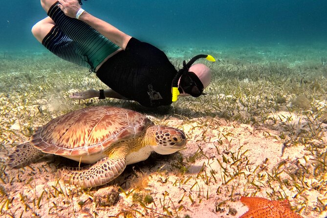 Cozumel Private Snorkeling and Charter Experience