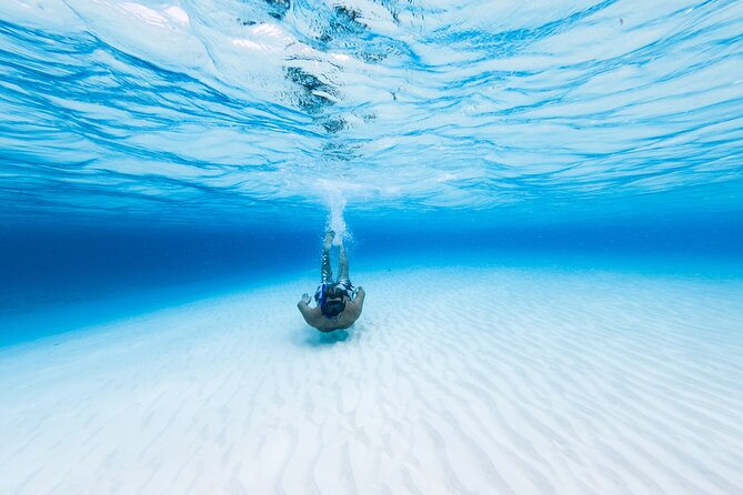 Cozumel Snorkel Tour: Coral Reefs, El Cielo & Beach Break®