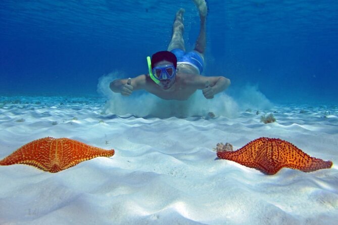 Cozumel Snorkeling Tour to Palancar Reef and El Cielo