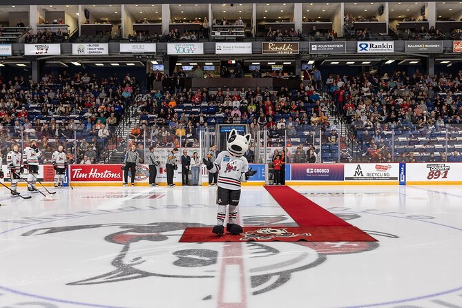 Craft Beer Tour and Hockey Game Combination Tour - Overview of Niagara Falls Tour