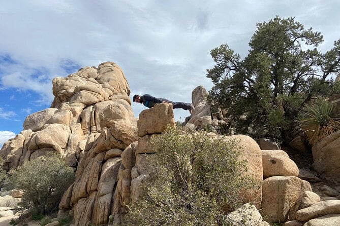 Creative Soul Scavenger Hunt (Hidden Valley, Joshua Tree) Remote Host