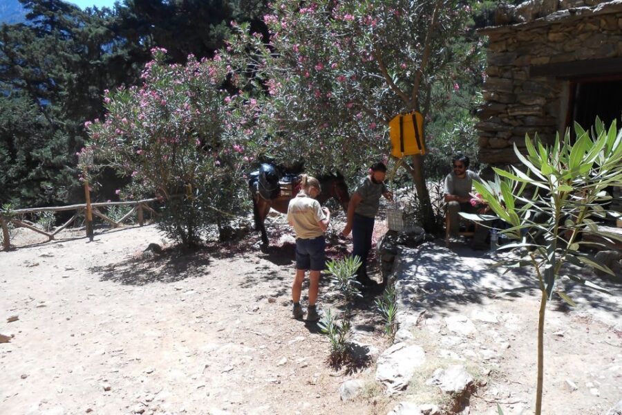 Crete: Hiking Tour in Samaria Gorge
