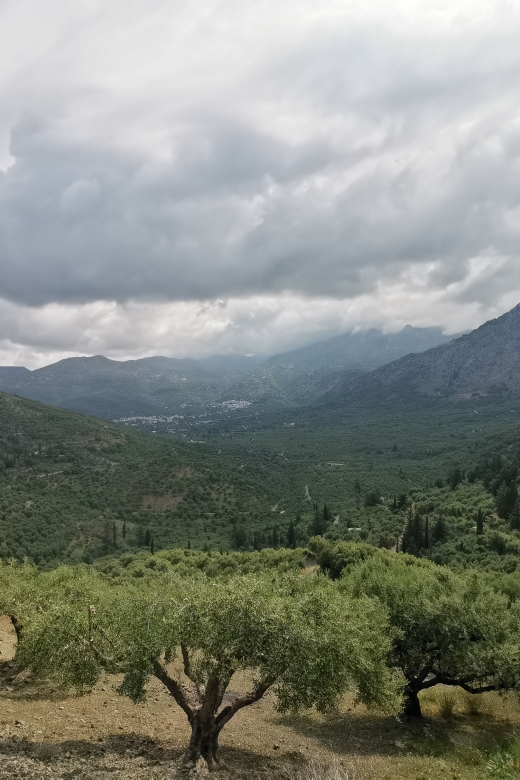 Crete: Island Jeep Tour With BBQ