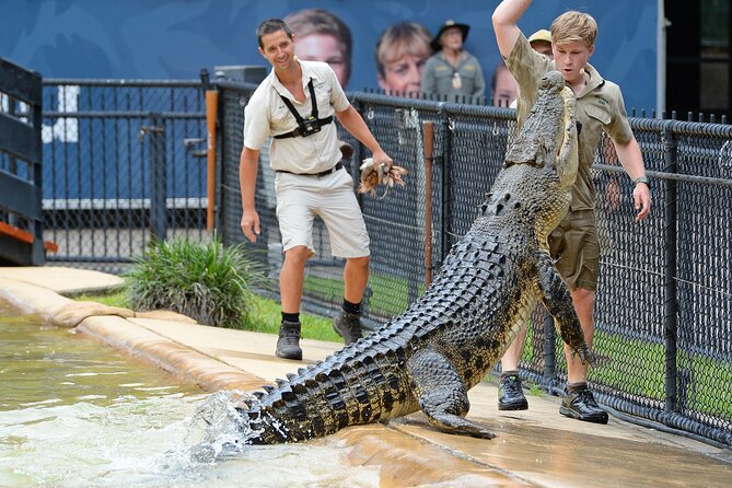 Croc Express to Australia Zoo From Brisbane HB7 - Tour Overview