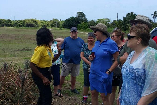 Cultural and Historical Home Tour in The Antiguan Experience - Tour Overview