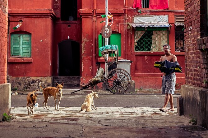 Cultural Confluence of Kolkata - Culture Kaleidoscope Tour - Tour Overview