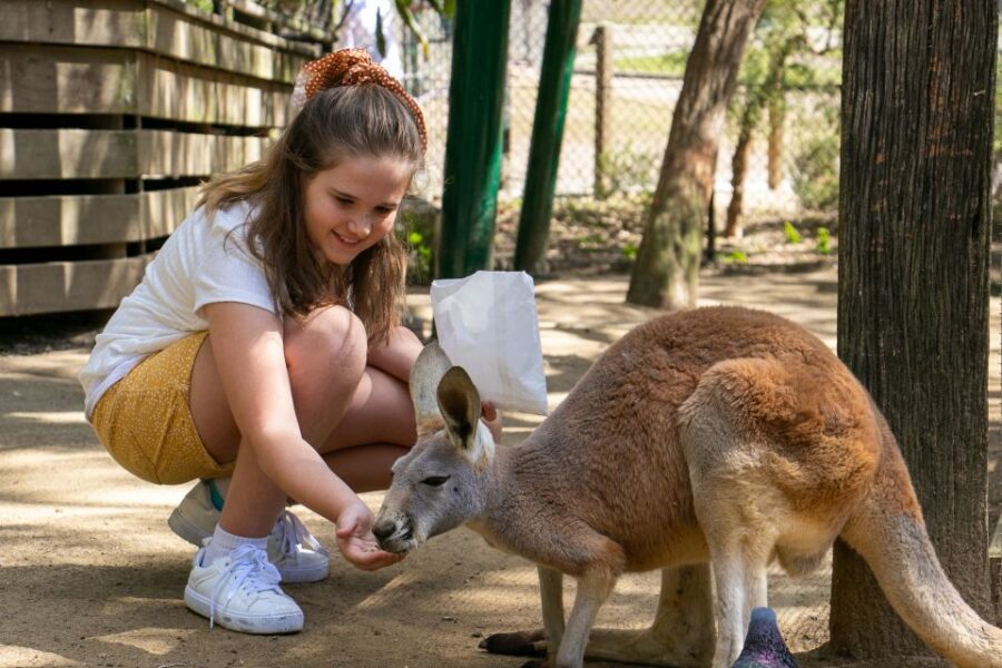 Currumbin Wildlife Sanctuary Ticket - Sanctuary Overview