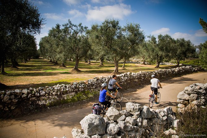 Cycling Across Salento: Capo Di Leuca 4-Hour Bike Tour - Charming Villages and Attractions