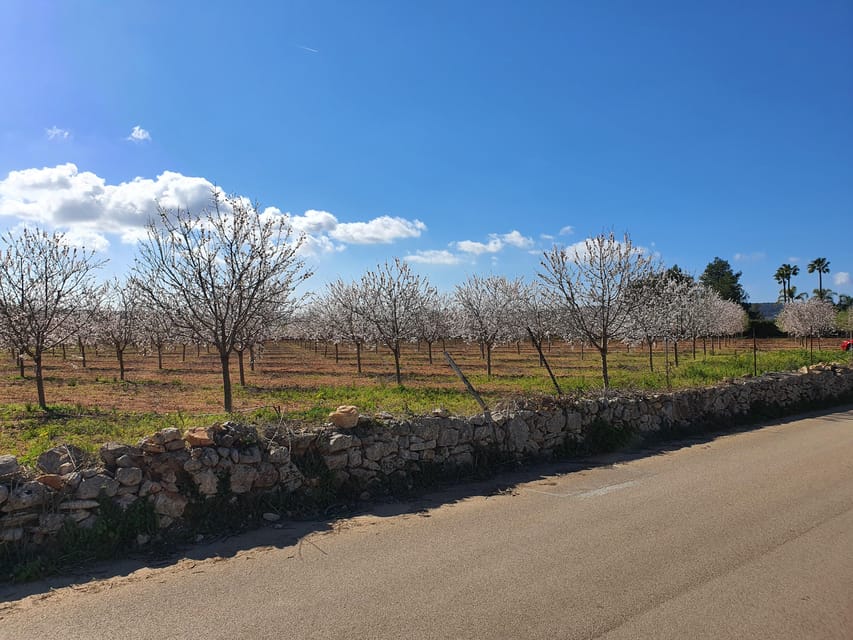 Cycling Tour From Coast to Coast