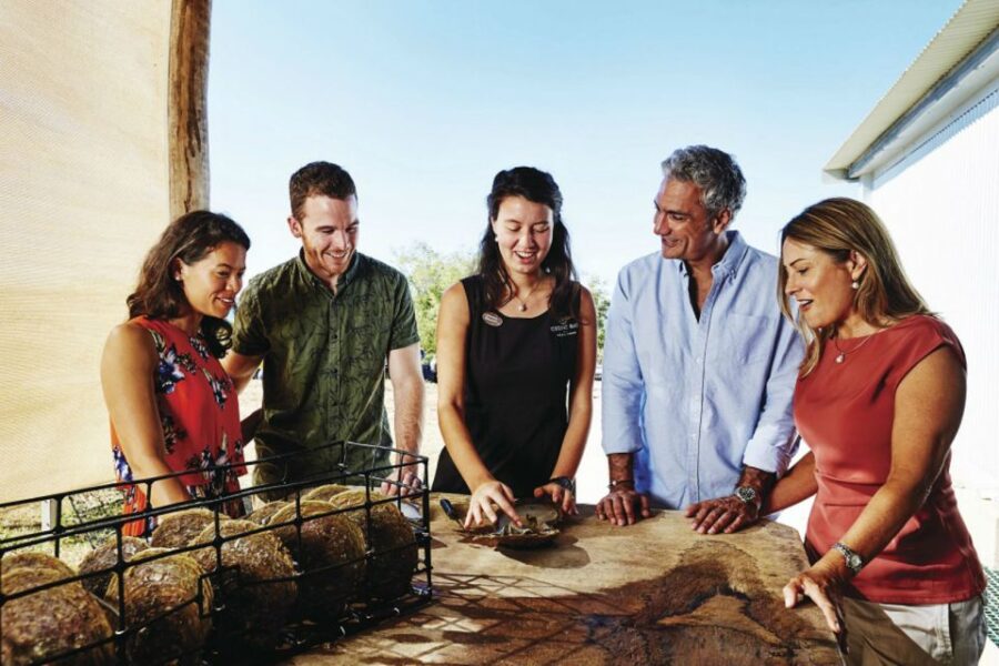 Cygnet Bay Pearl Farm Behind-the-Scenes Tour & Live Harvest - Pearling History and Cultivation