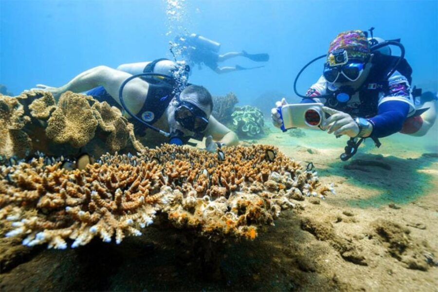 2 Best Snorkeling Experiences In Bai Lang Cham Islands
