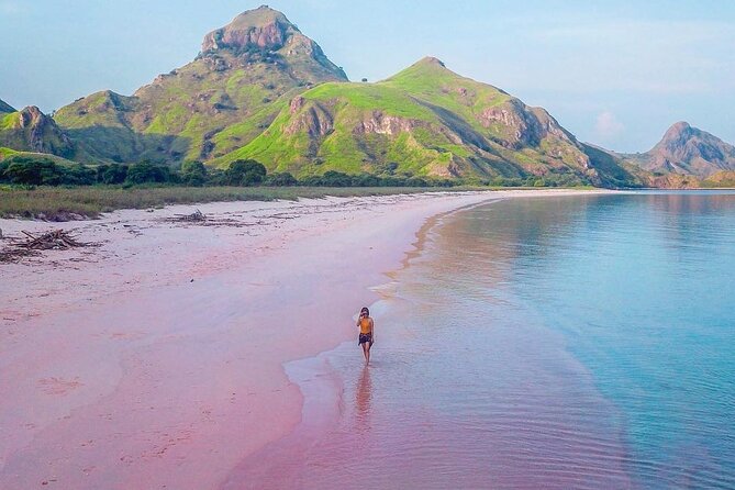Daily Trip Highlight Komodo Archipelago by Speed Boat - Tour Overview and Highlights
