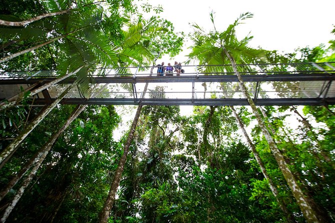 Daintree Discovery Centre Single Pass