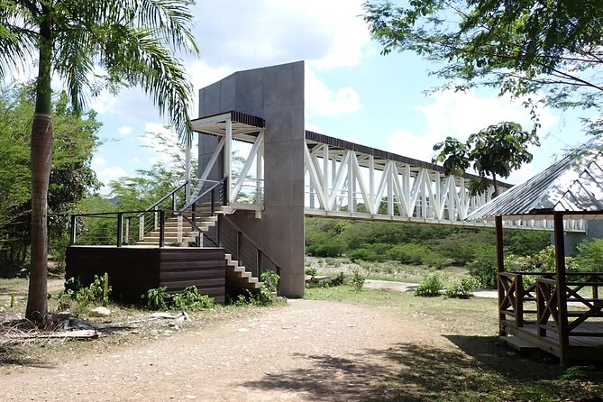 Damajagua Waterfalls Adventure From Amber Cove and Taíno Bay - Overview and Details