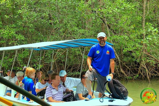 Damas Mangrove Boat Tour - Wildlife Experience