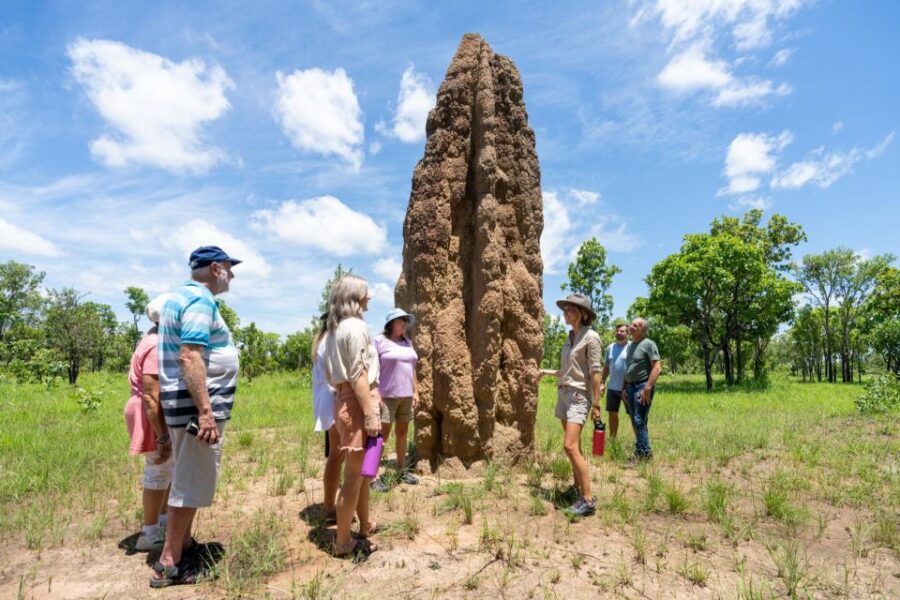 Darwin: 5-Day 4WD Kakadu, Litchfield Tour & Billabong Cruise