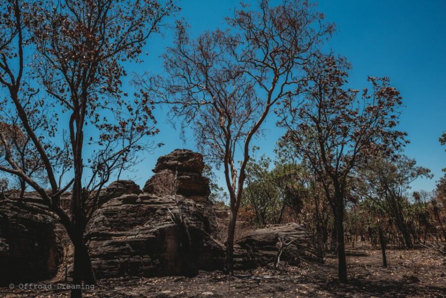 15 Best National Park Tours In Darwin