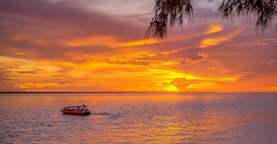 Darwin: Sunset Harbour Cruise With Fish and Chips Dinner - Overview and Pricing