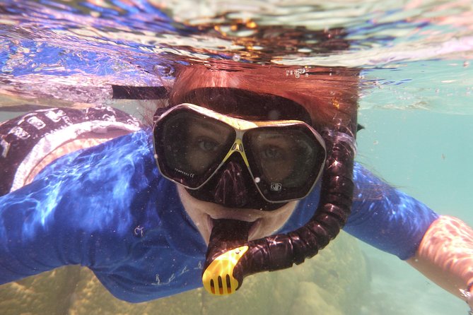 Day Cruise & Island Tour - Snorkel/Wildlife/Paddleboard/Islands