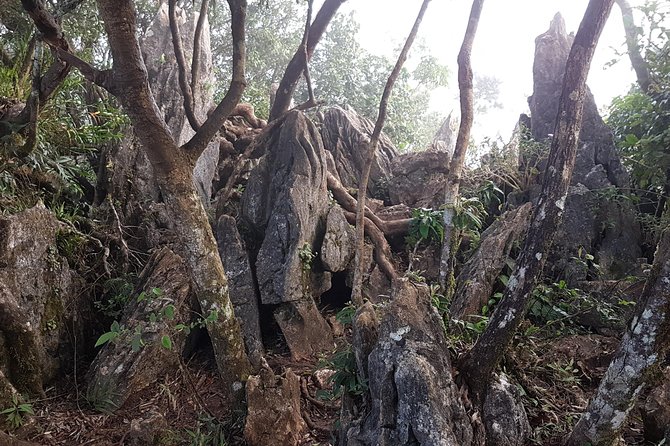 Day Hike to Mount Daraitan With Tinipak River - Itinerary and Logistics