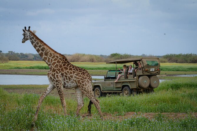 Day Safari Tour Selous Game Reserve - Inclusions