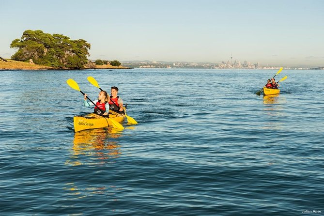Day Sea Kayak Tour Rangitoto Island
