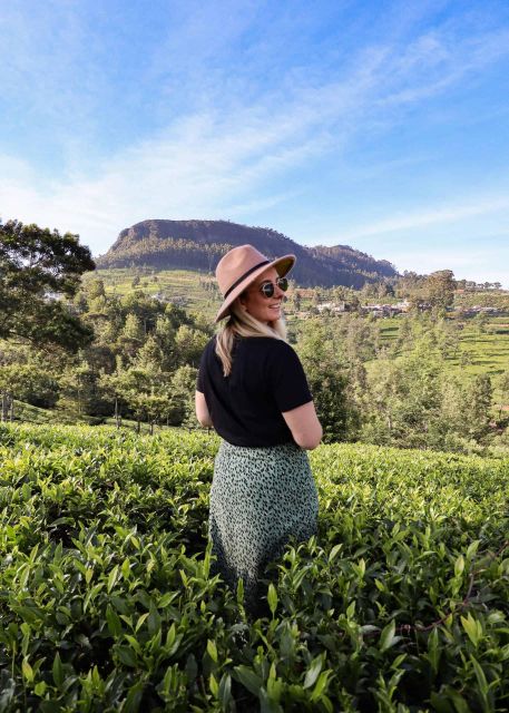 Day Tour From Kandy to Nuwara Eliya and Ramboda Waterfall