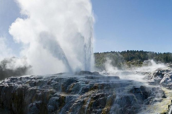 Day Tour Hobbiton + Rotorua From Auckland in Luxury Minibus
