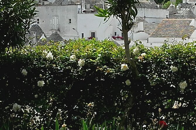 Day Tour of Ostuni, Martina Franca, Alberobello From Bari