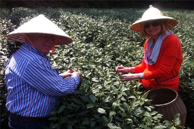 Day Tour to Discover the Secrets of Hangzhous Tea Culture