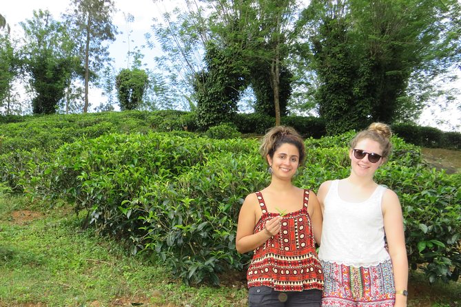 Day Tour to Nuware Eliya (Littel England) From Kandy