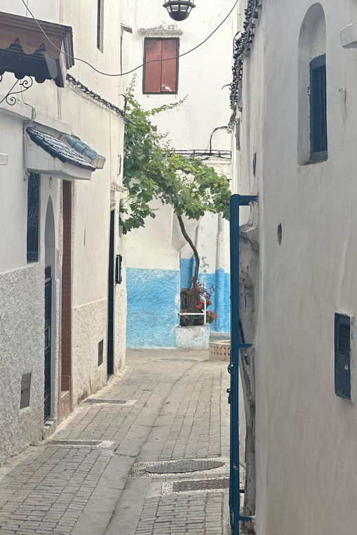 Day Trip From Marbella to Tangier Morocco All Inclusive - Overview of the Marbella to Tangier Day Trip