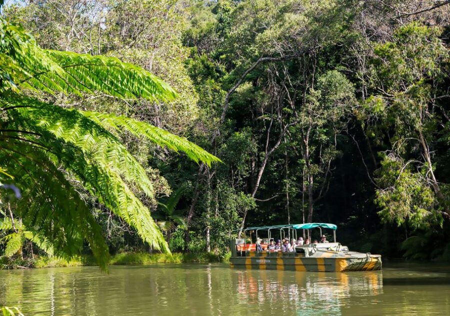 Day Trip: Rainforest & Aboriginal Culture Tour