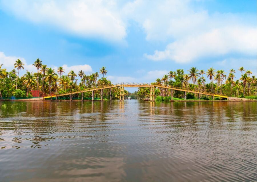 Day Trip to Alleppey With Backwater Experiences - Itinerary Highlights