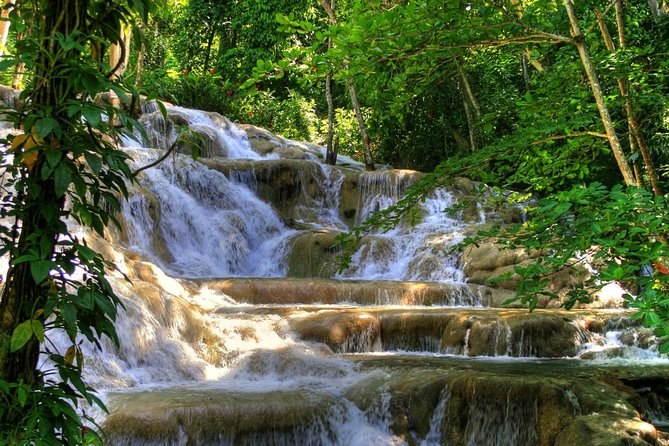 Day Trip to Dunns River Falls From Montego Bay - Overview and Experience