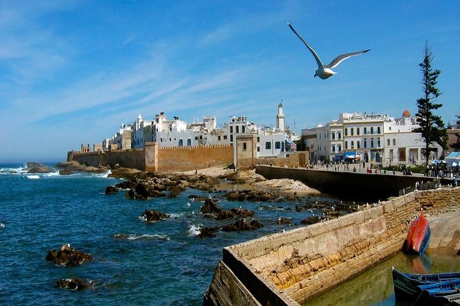 Day Trip To Essaouira - Trip Overview