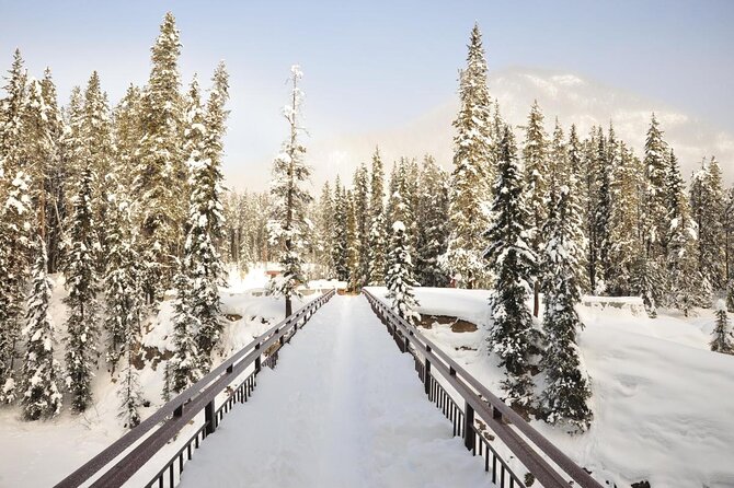 Day Trip to Lake Louise, Moraine Lake, Yoho From Calgary, Banff - Tour Highlights
