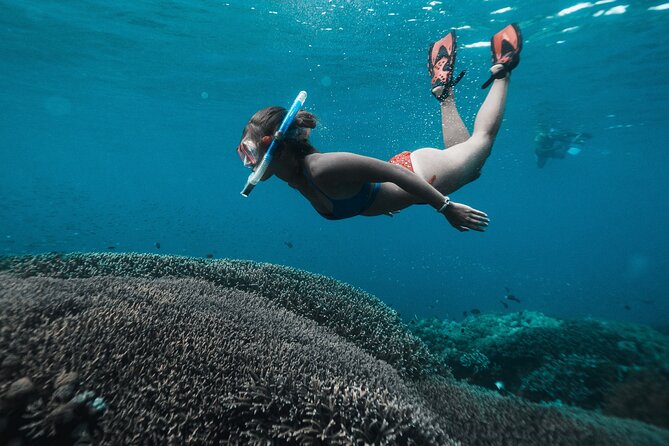 Day Trip to Nusa Penida: 4 Snorkeling, Manta Rays & Land Tour - Trip Overview