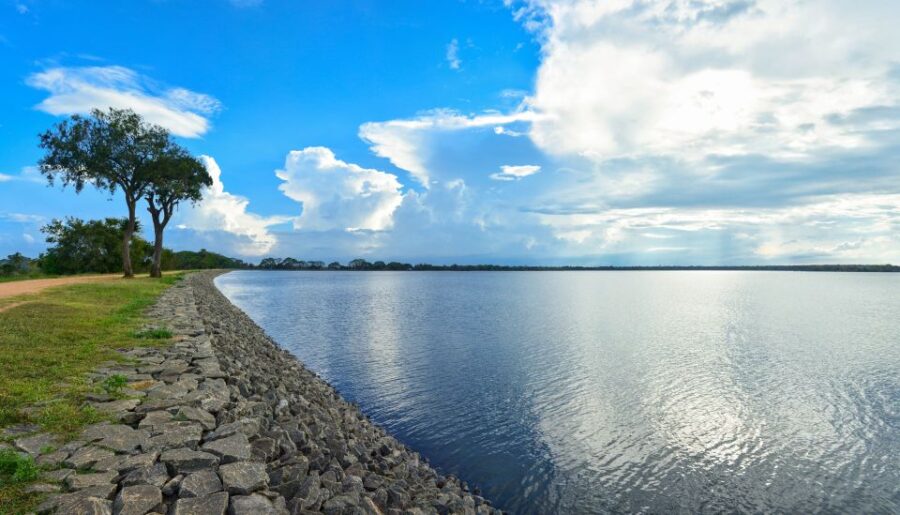 Day Trip to UNESCO City Anuradhapura From Dambulla - Trip Overview and Pricing