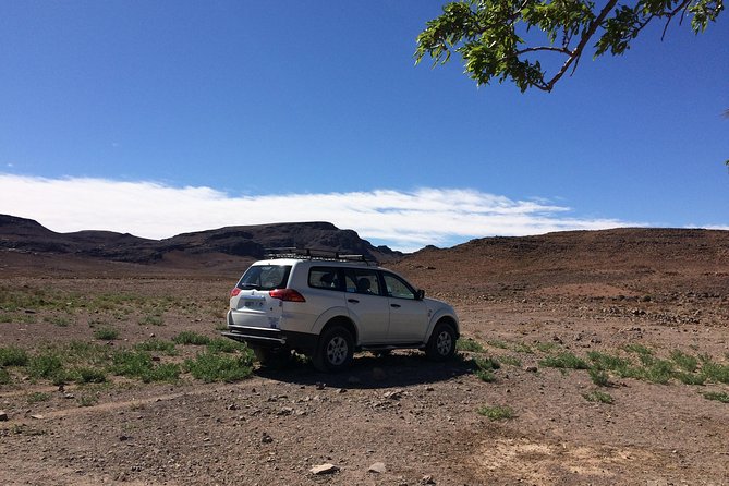 Day Trip to Visit Ouarzazate - Overview of the Day Trip