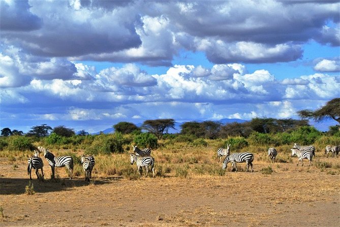 Day Trip – Tsavo East National Park ( Man Eater Lions of Tsavo & Other Big Five)