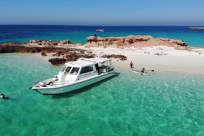 Daymaniyat Island Natural Reserve and Dolphin Watching