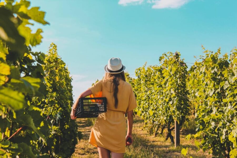 Daytrip:Gerovassiliou Winery,Petralona Cave & Potidea Beach