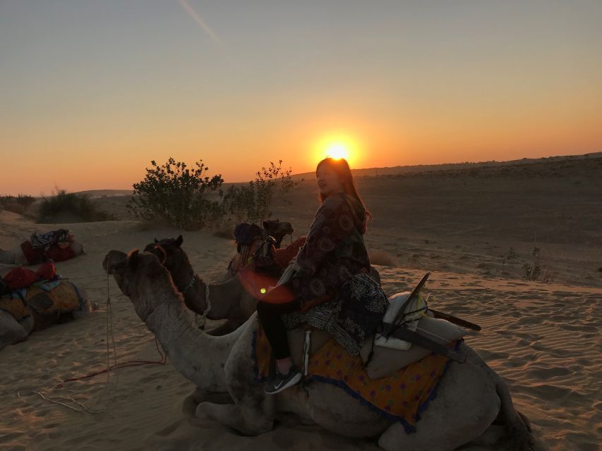 Dazzling Half Day Tour of Camel & Desert Safari With Sunset - Tour Overview and Pricing