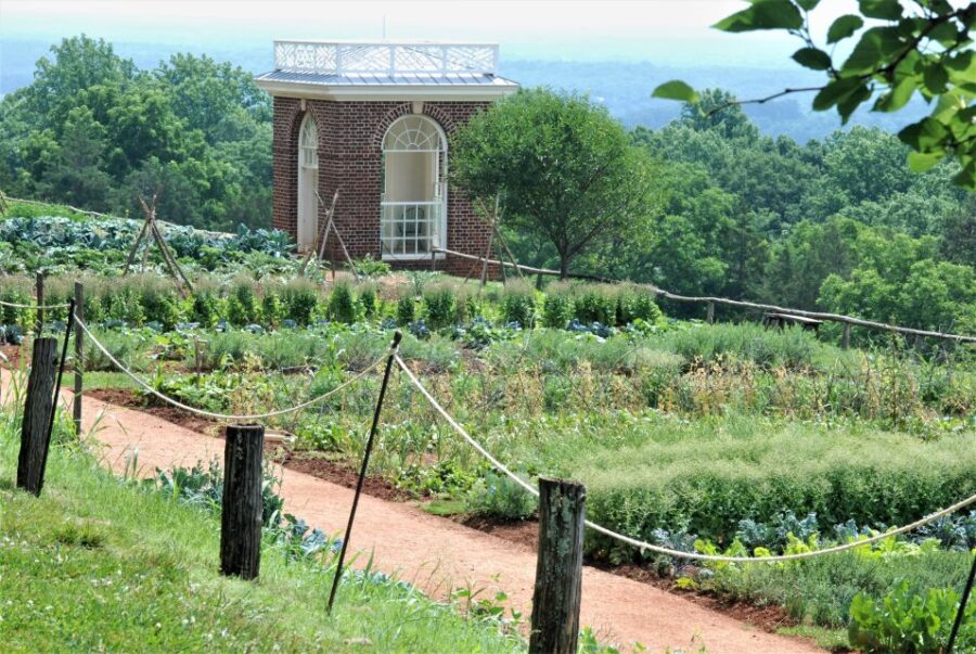 DC: Private Day Trip to Thomas Jefferson's Monticello Estate - Tour Overview