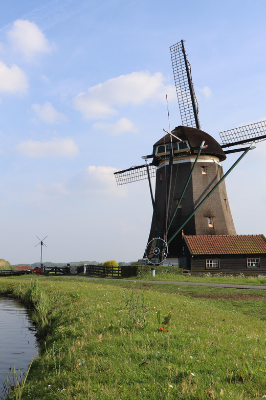 Delft and Volendam: Cheese, Clogs & Windmills (Small Group) - Overview and Pricing