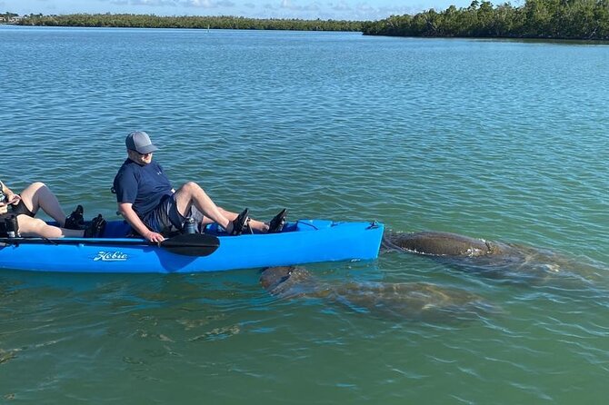 Deluxe Kayak Tour Marco Island and Naples, Florida