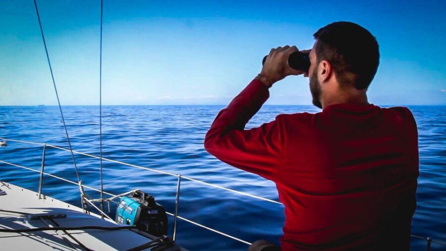 2 Best Dolphin Watching Tours In Denia
