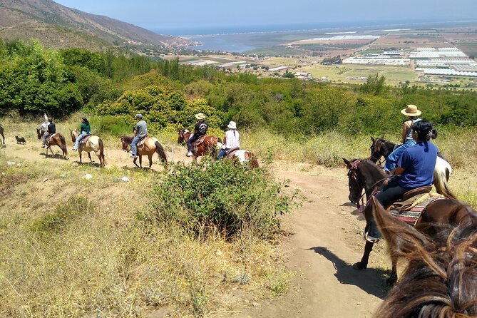 Desert Peaks on Horseback, Exploring Mountain Trails of Ensenada